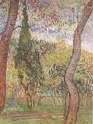Vincent Van Gogh The Garden of Saint-Paul Hospital (nn04) Sweden oil painting reproduction